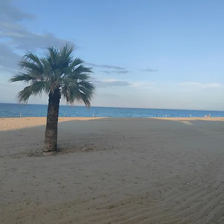 Sole Di